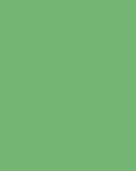 FOLIA Dekorkarton, 2 oldalas, 50x70cm, 220 g, 10 lap, FOLIA, smaragdzöld (61221054) - molnarpapir