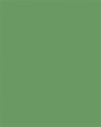 FOLIA Dekorkarton, 2 oldalas, 50x70cm, 220 g, 10 lap, FOLIA, mohazöld (61221053) - molnarpapir