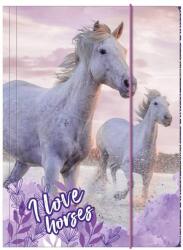 DERFORM Lovas gumis mappa A4-es - Vágta a vízben (TGA4KO25)