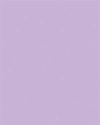 FOLIA Dekorkarton, 2 oldalas, 50x70cm, 220 g, 10 lap, FOLIA, orgonalila (61221031) - molnarpapir