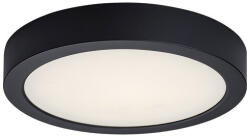 Rábalux Shaun2 Beltéri lámpa természetes fehér LED 24 - RAB71200 (RAB71200)