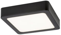 Rábalux Shaun Beltéri lámpa természetes fehér LED 12 - RAB2689 (RAB2689)