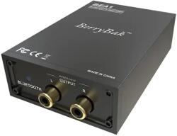 BerryBak Adaptor BT BerryBak BEA1 (BEA1)