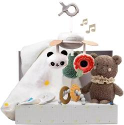 Taf Toys Комплект за новородено Taf Toys - Luxe Gift, 4 части (TT13515) - ozone