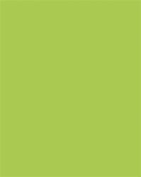 FOLIA Carton decorativ, 2 fețe, 50x70cm, 220 g, 10 foi, FOLIA, verde primăvară (6122/10 50)