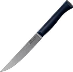 Opinel VRI N°220 Intempora cuțit de tăiere 16 cm 002220