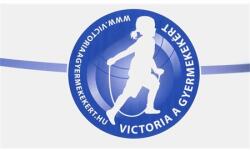  Kartondoboz 300x300x350mm