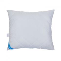 Poldaun Vise dulci perna de iarna 70x80 Lenjerie de pat