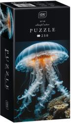 Interdruk - Színes természet 10 - Medúza 250 darabos kirakó (5902277385567)