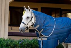 Horseware Ireland Amigo Ripstop Insulator Stable Hood 200g Navy/Titanium Grey - M