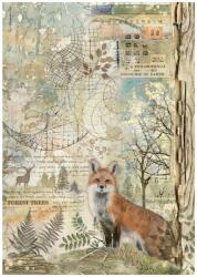 Stamperia A4 rizspapír csom. - Forest fox