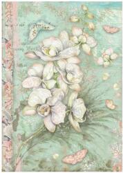 Stamperia A4 rizspapír csom. - Orchids and Cats white orchid