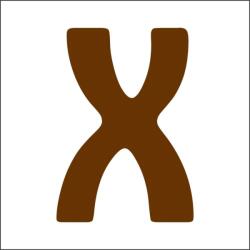 Penta collection Fabetű 25mm, 8 db/csomag X