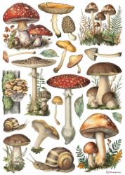 Stamperia A4 rizspapír csom. - Mushrooms