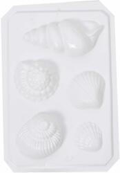 Penta collection Gipszkiöntő forma, normál - Nagy kagylók, csigák
