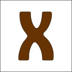 Penta collection Fabetű - 12-15mm, 10 db/csomag x