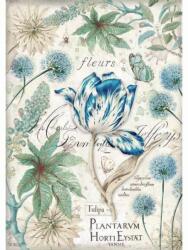 Stamperia Dekupázs rizspapír A4 csom. - Kék tulipán