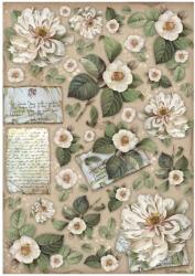 Stamperia A4 rizspapír csom. - Vintage Library flowers and letters