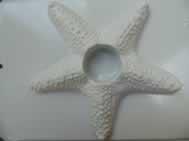 Penta collection Gipszkiöntő forma, normál - Nagy tengeri csillag mécsestartó