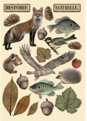 Stamperia Színes fafigurák A5 - Forest