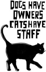 Stamperia Akril pecsételő 7 x 11 cm - macska-mondás angolul