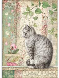 Stamperia Dekupázs rizspapír A4 csom. - Macska