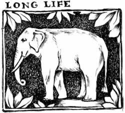 Stamperia Akril pecsételő 5 x 7 cm elefánt