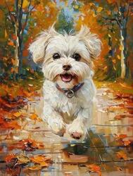 NORIMPEX - Puzzle Tablou Diamant: Câine maltez 30x40cm - 1 - 39 piese