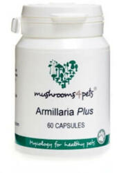 Armillaria Plus (500 mg) 60 buc