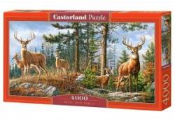 Castorland Puzzle 4000 pcs. Royal Deer Family