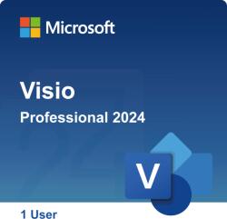 Microsoft Visio Professional 2024 D87-02398