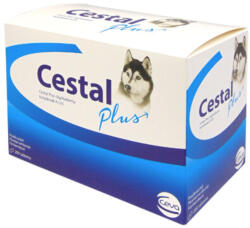 Cestal Plus Comprimat masticabil 2 x