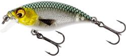  WESTIN Westin BUZZBITE SR CRANKBAIT Low Floating 4cm/4g 3D Headlight