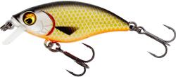  WESTIN Westin BUZZBITE SR CRANKBAIT Low Floating 4cm/4g Official Roach