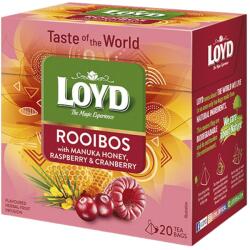 LOYD Gyümölcstea LOYD Piramis Rooibos méz-málna-áfonya 20x1, 7 g - pcx