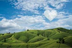 MÉDIA Öntapadós tapéta Natura67, 250 x 200 cm (FOTOTAP13797)