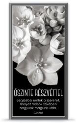 Ars Una alkalmi francia boritékos lap C kegyeleti (8404) Kifutó (12084043)