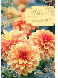 Cardex Képeslap Hálás köszönet felirattal virágos grafikával Cardex G (49CAR501)