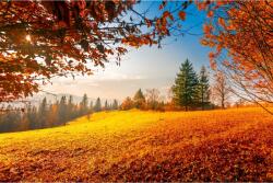 MÉDIA Matrica tapéta Natura106, 250 x 200 cm (FOTOTAP13983)