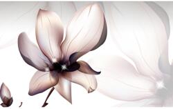 MÉDIA Öntapadó és mosható falfestmény Magnólia virág, 250 x 200 cm (FOTOTAP9217)