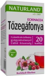 Naturland gyümölcstea Tőzegáfonyával és echinacea - 20x ( Kiszerelés: 20x2g )