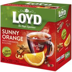 LOYD Gyümölcstea LOYD Piramis Hot narancs-fahéj 20x2 g - vectraline