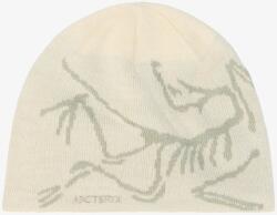 Arcteryx Bird Head Toque Téli sapka - sea salt/habitat - M