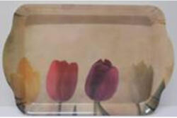  Tálca uzsonnás 21x14, 3x2 cm, műanyag, tulipános (SJ12)