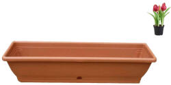 ENGER Virágláda/Balkonláda Tálcával 60 x 20 x 15 cm (5999880112734)