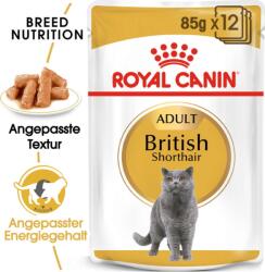 Royal Canin British Shorthair Adult szószban 12x85 g - 1.020 g