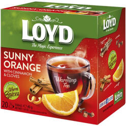 LOYD Gyümölcstea LOYD Piramis Hot narancs-fahéj 20x2 g - fotoland