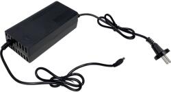 Extol Energy Extol töltő akkus talicskához, 2A (8891590A)