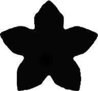 Penta collection Formalyukasztó 38 mm, Virág, öt szirmú