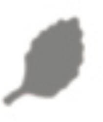 Penta collection Formalyukasztó 16 mm, Levél 1